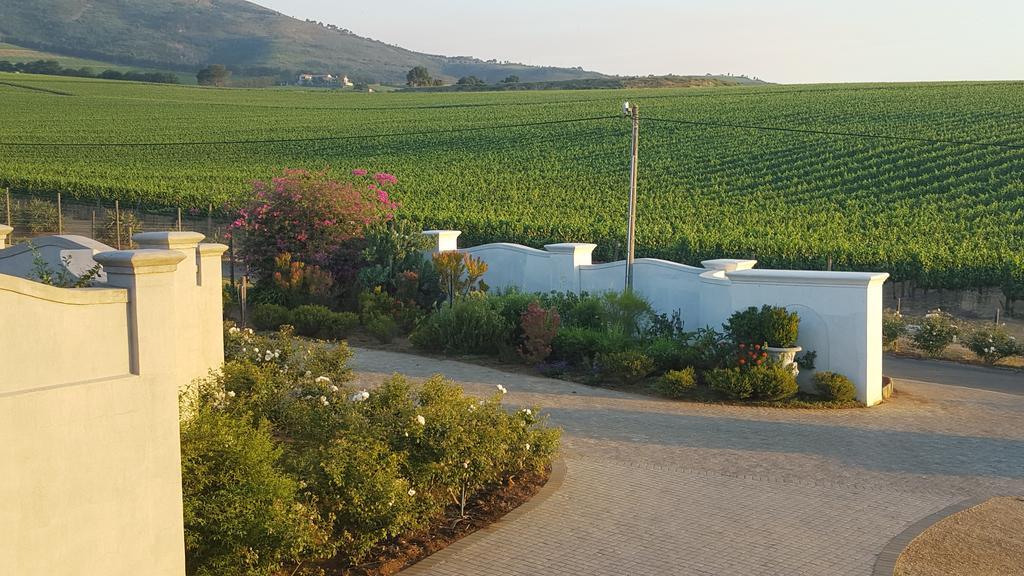 Dieu Donne Municipalità locale di Municipalità locale di Stellenbosch Esterno foto