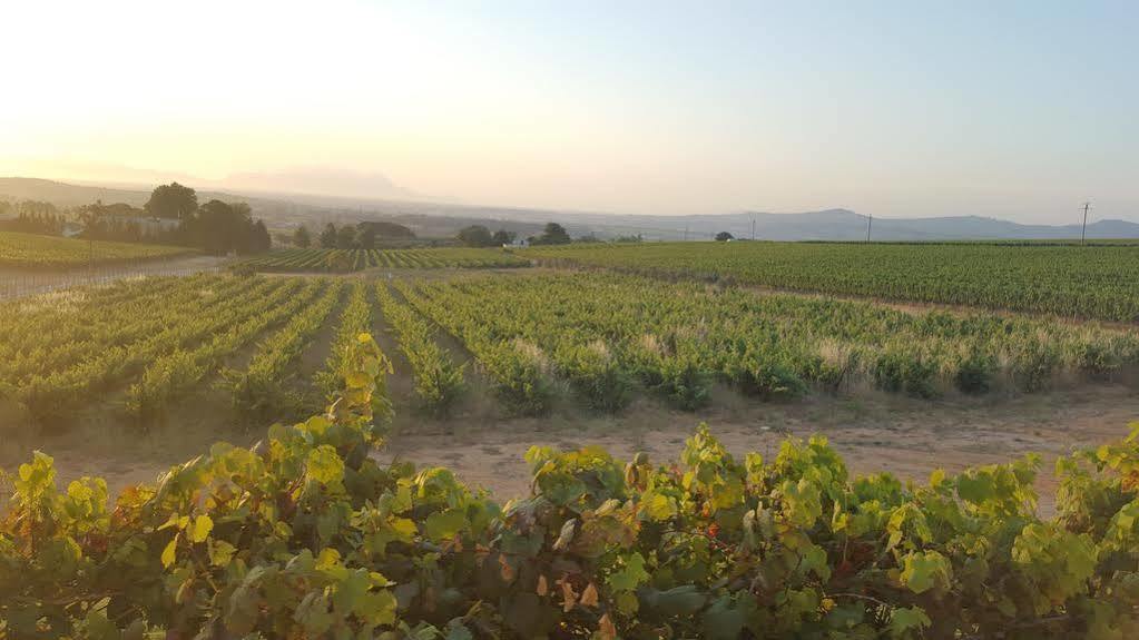 Dieu Donne Municipalità locale di Municipalità locale di Stellenbosch Esterno foto